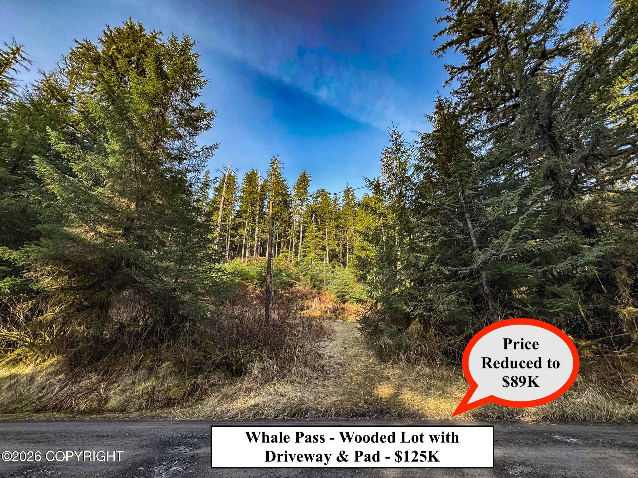 Lot 7 USFS 30 Road, Whale Pass AK 99927