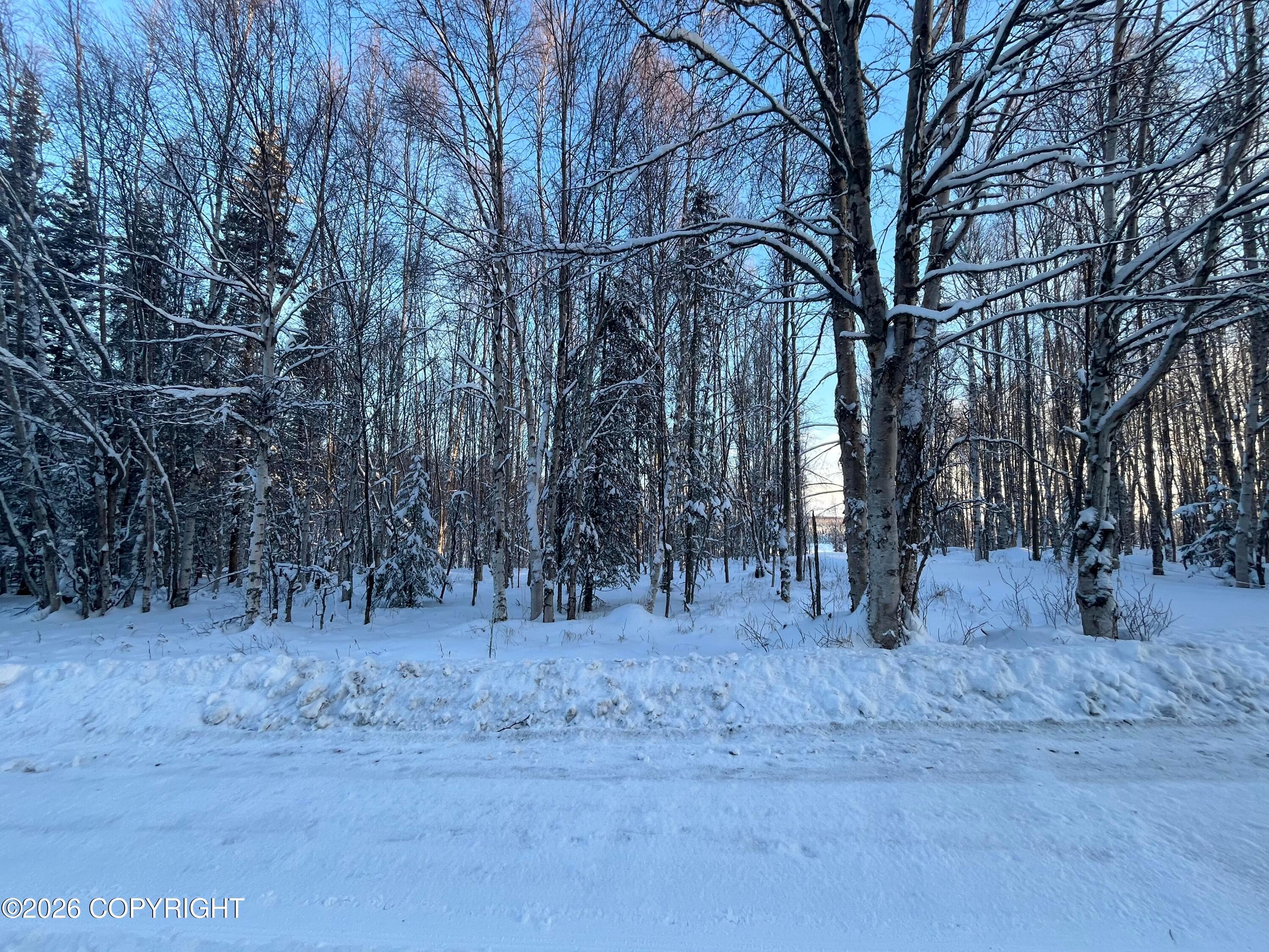 000 Shay Lynn Circle, Soldotna AK 99669