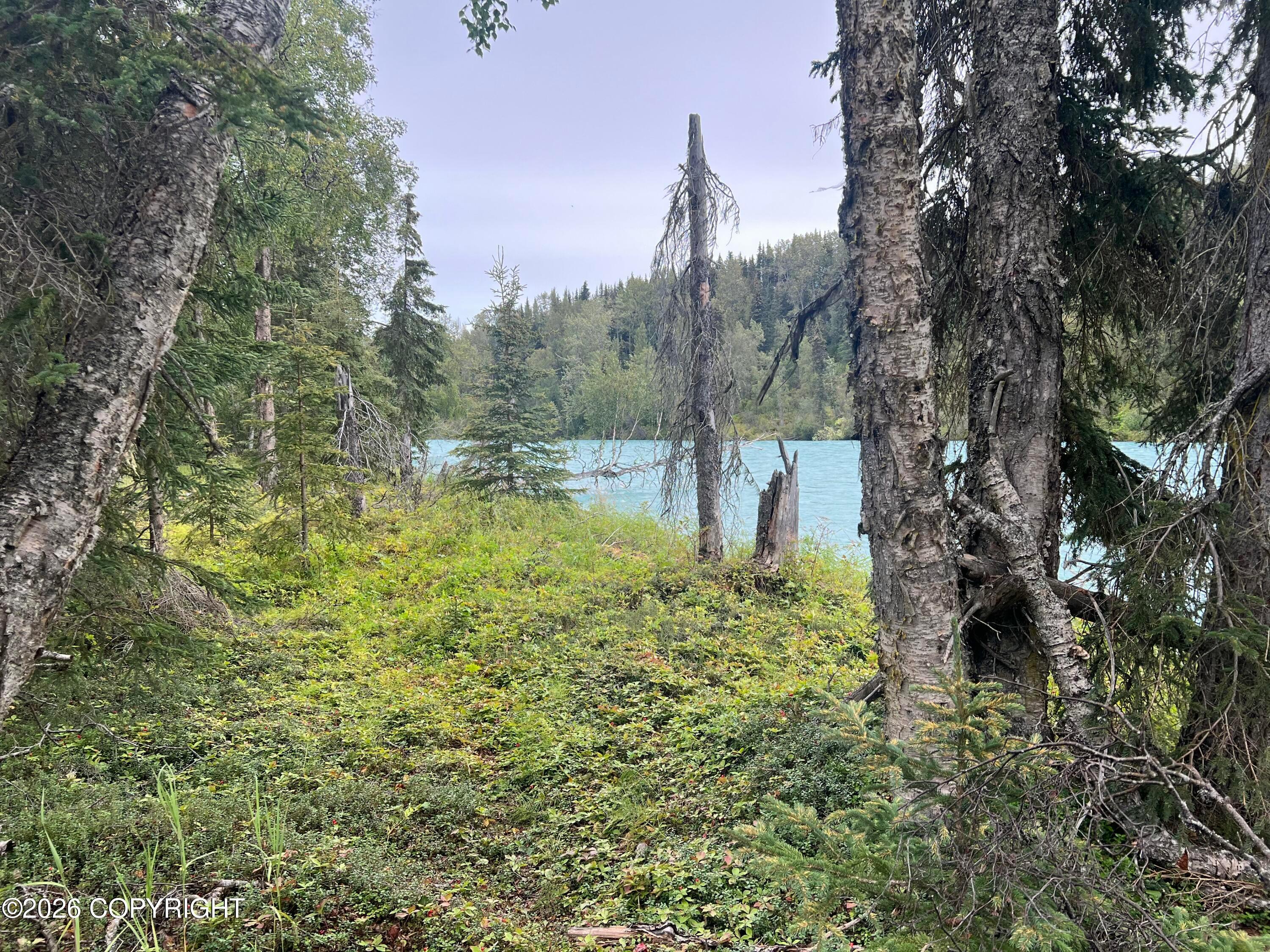 L2 Jackie Ann Street, Kasilof AK 99610