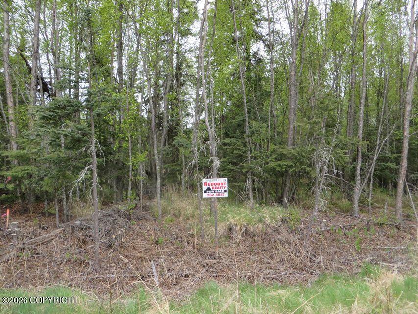 2710 Wildwood Drive, Kenai AK 99611