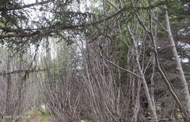 58088 Faccio Road, Clam Gulch AK 99568