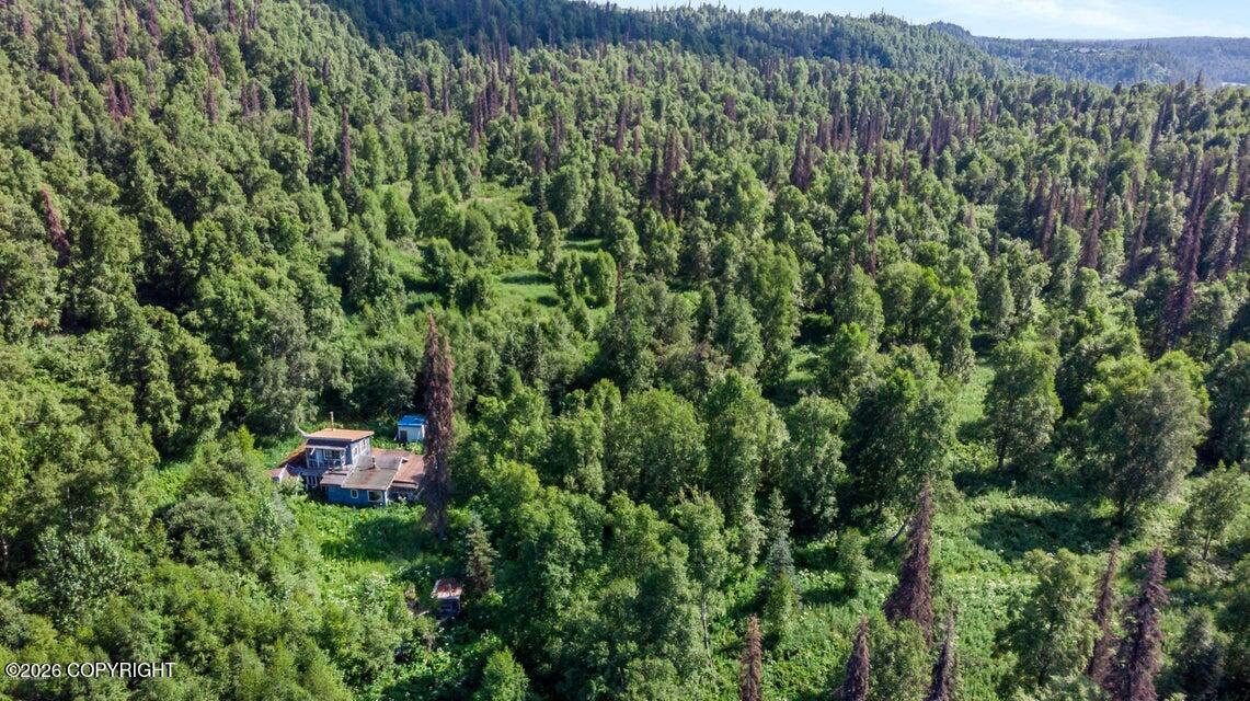 2187 N Parks Highway, Trapper Creek AK 99683