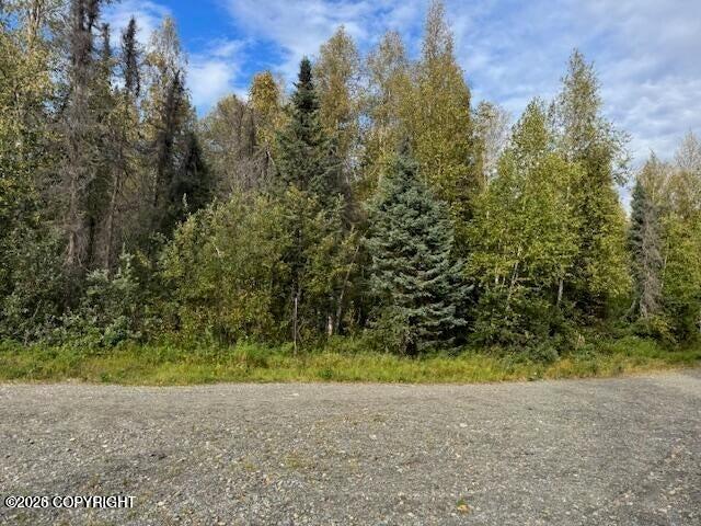 15785 E Greenleaf Drive, Talkeetna AK 99676