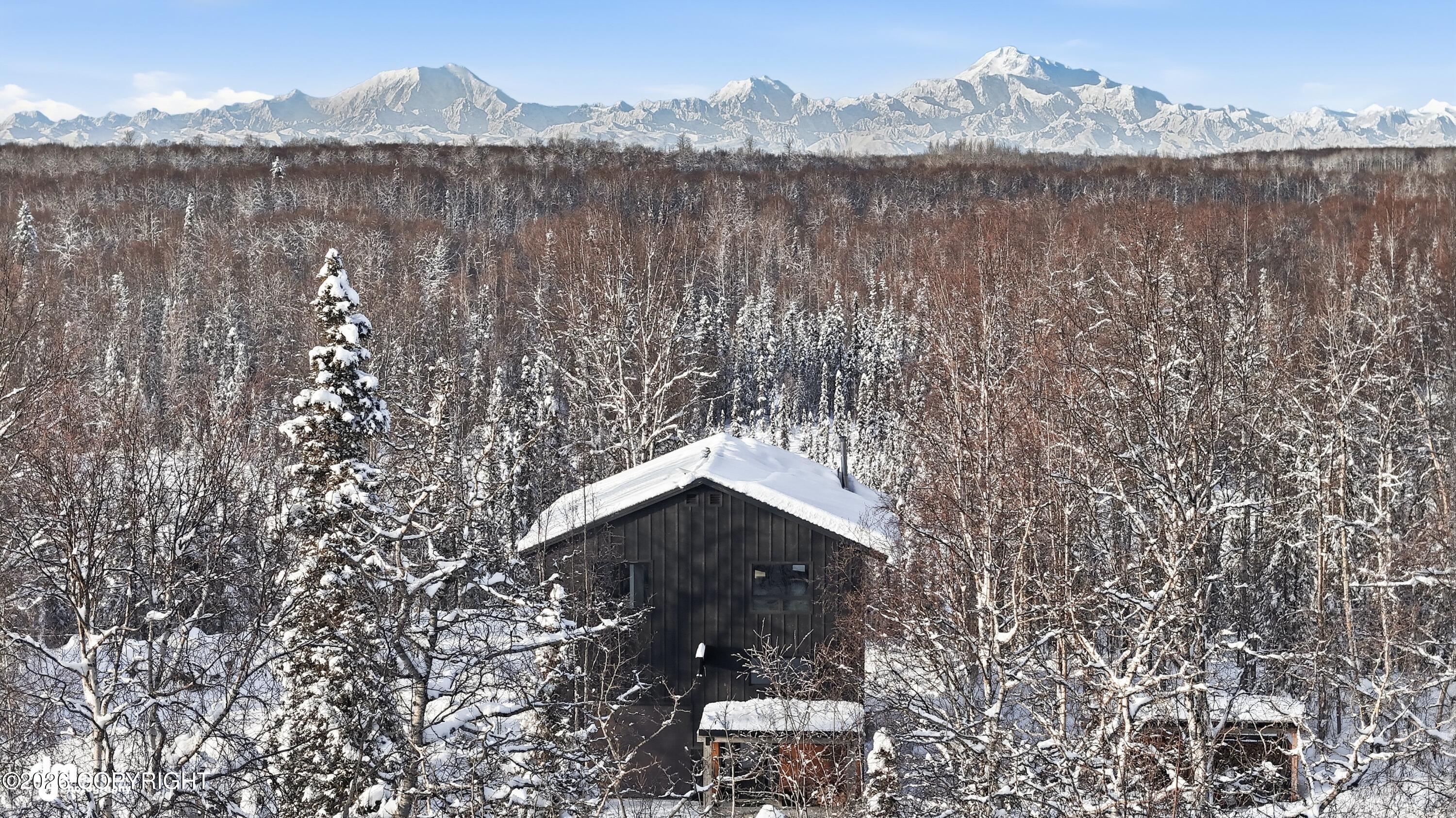 16111 E Nosey Avenue, Talkeetna AK 99676