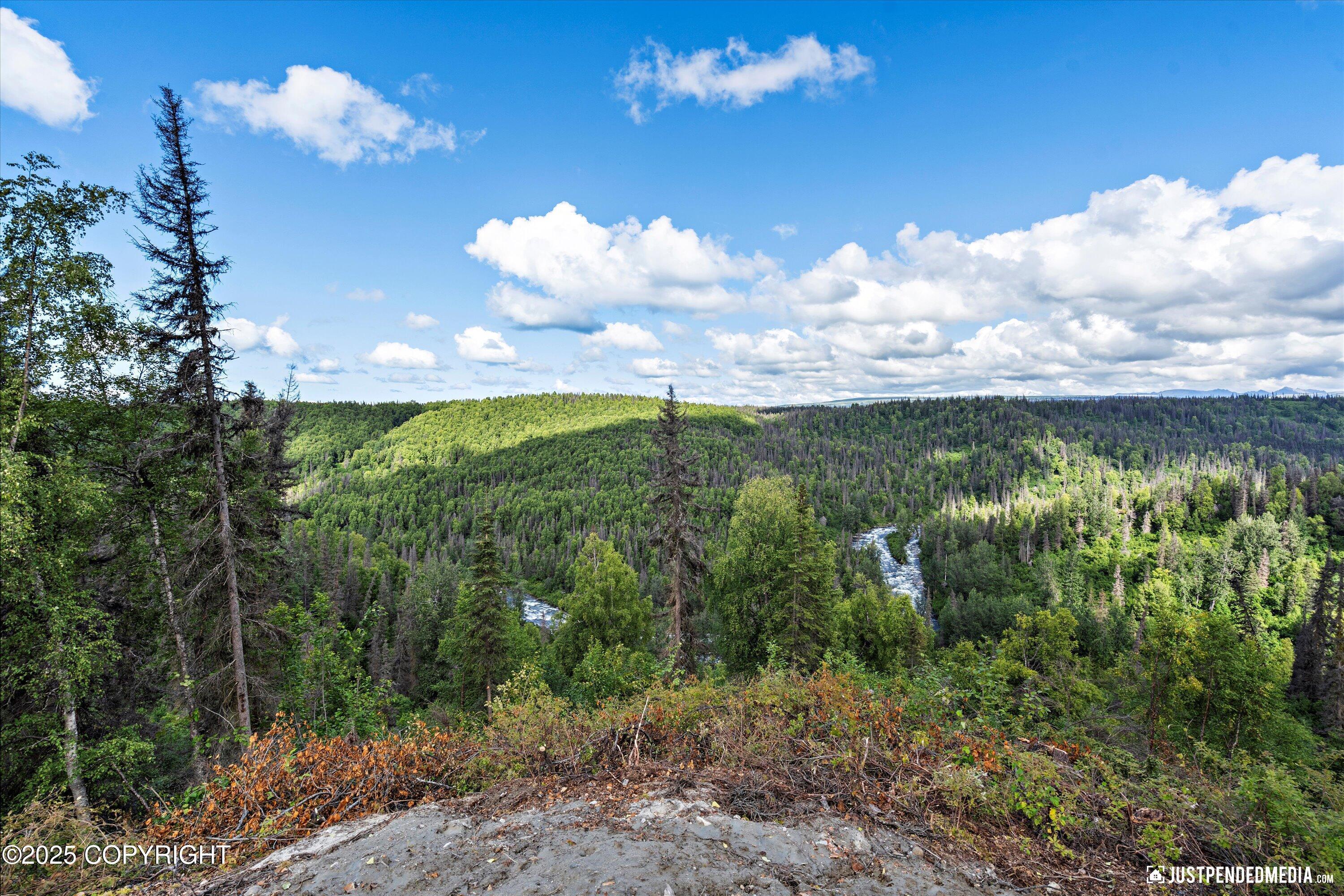 12431 W Snowberry Road, Willow AK 99688