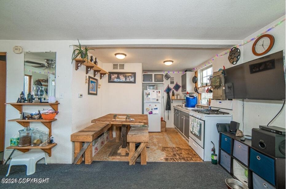 20296 E Caswell Lakes Road, Willow AK 99688