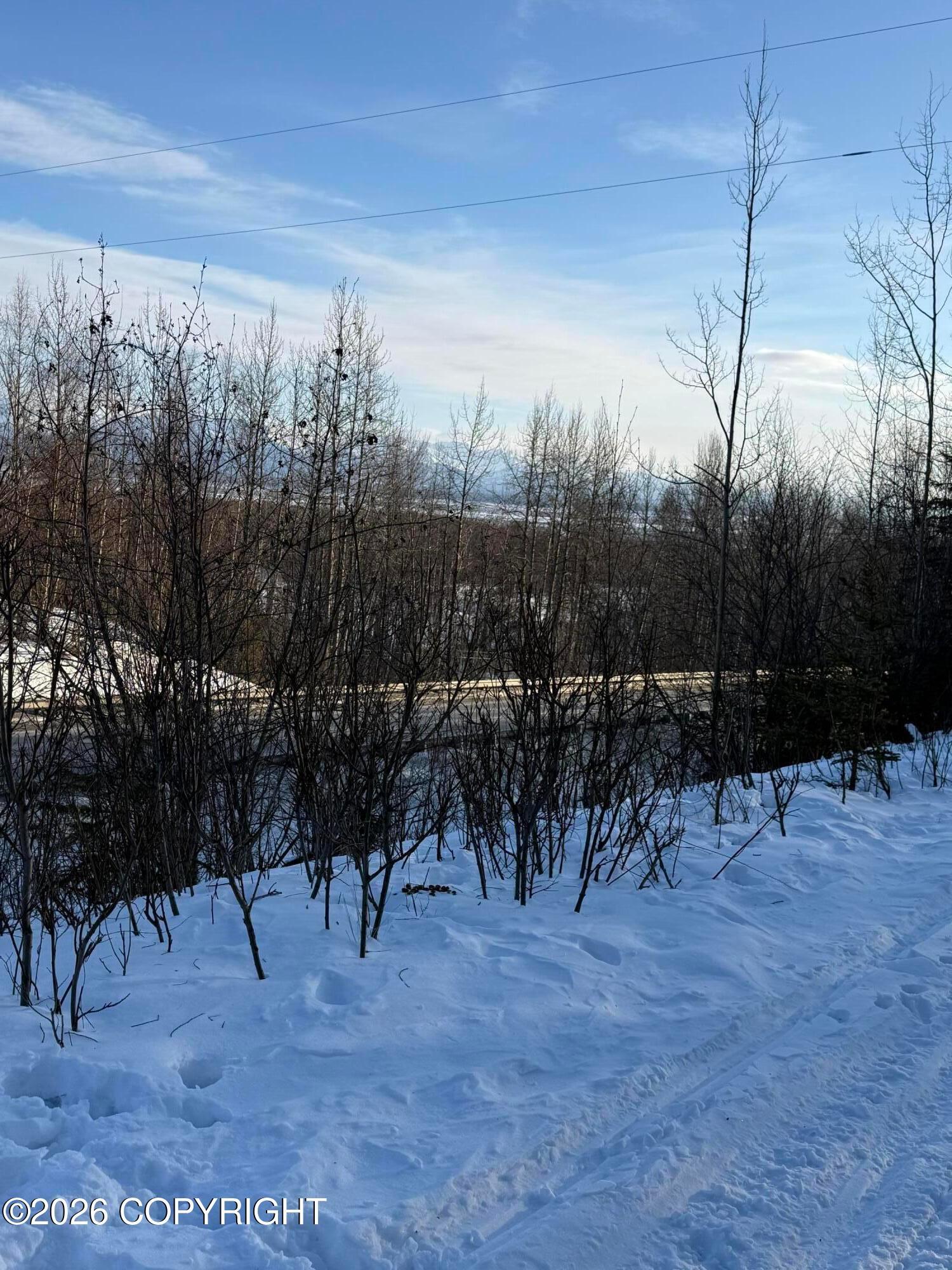 L1 W Togo Woods Drive, Wasilla AK 99623