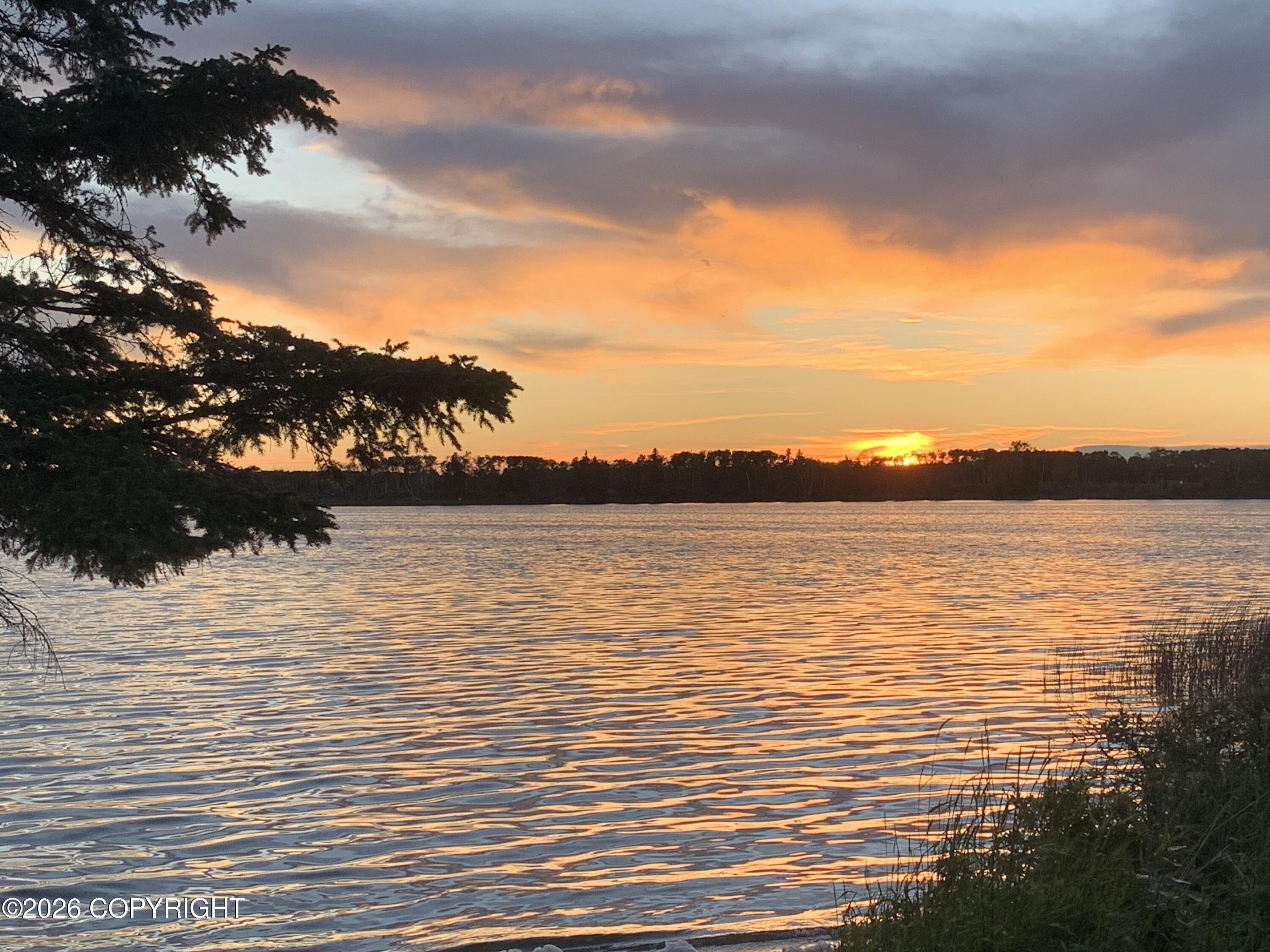 90055 N remote Trail, Talkeetna AK 99676