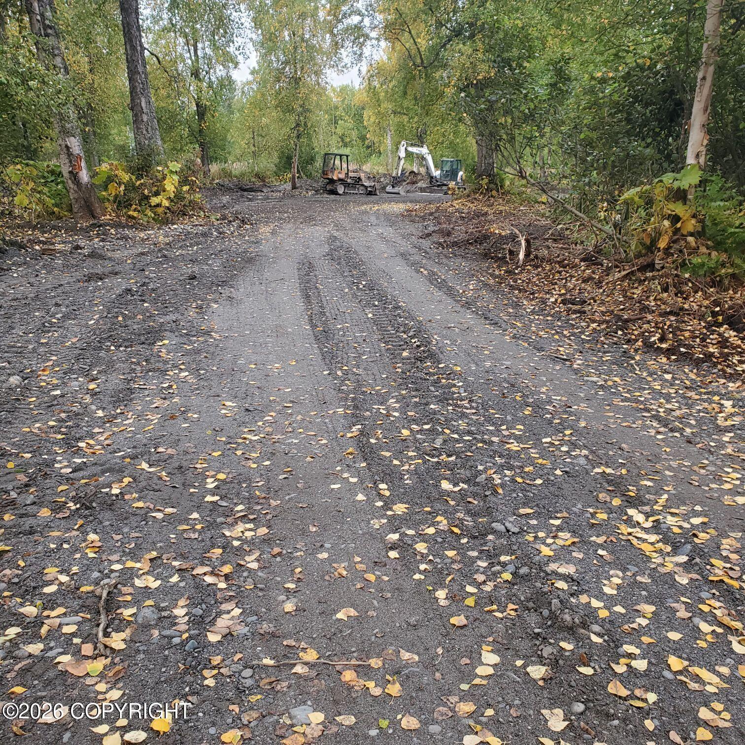 23580 S Bobcat Trail, Trapper Creek AK 99683