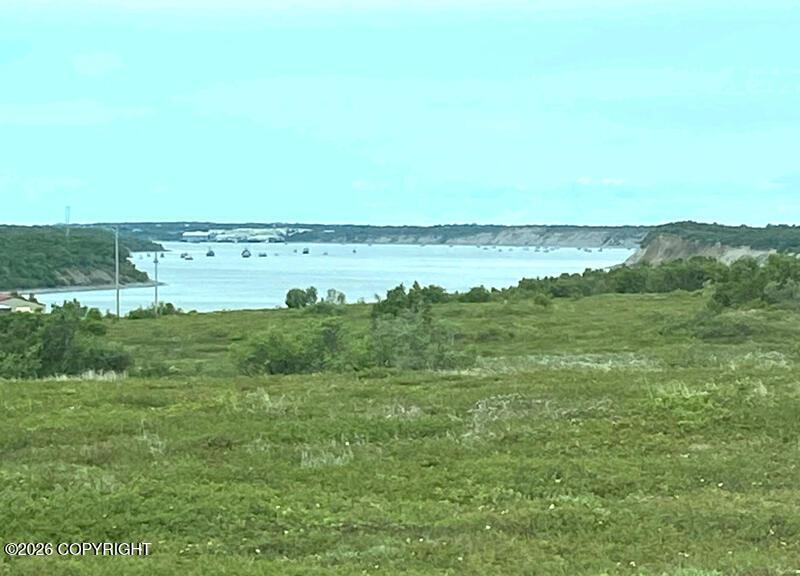 81 Lynx Loop, Naknek AK 99633