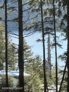 L7 B13 Bayview Drive, Naukati Bay AK 99950