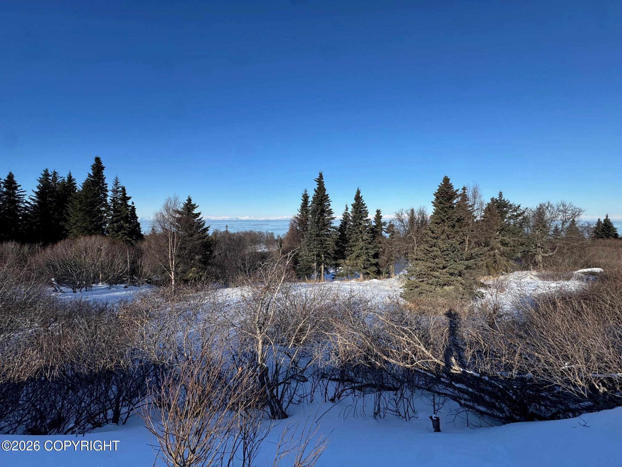 L6 Mead Court, Clam Gulch AK 99568