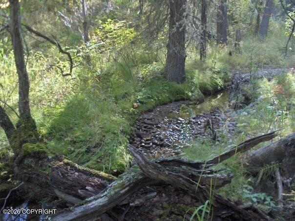 2003-16 E NO RD Ridge Rock Cabin Sites, Healy AK 99743