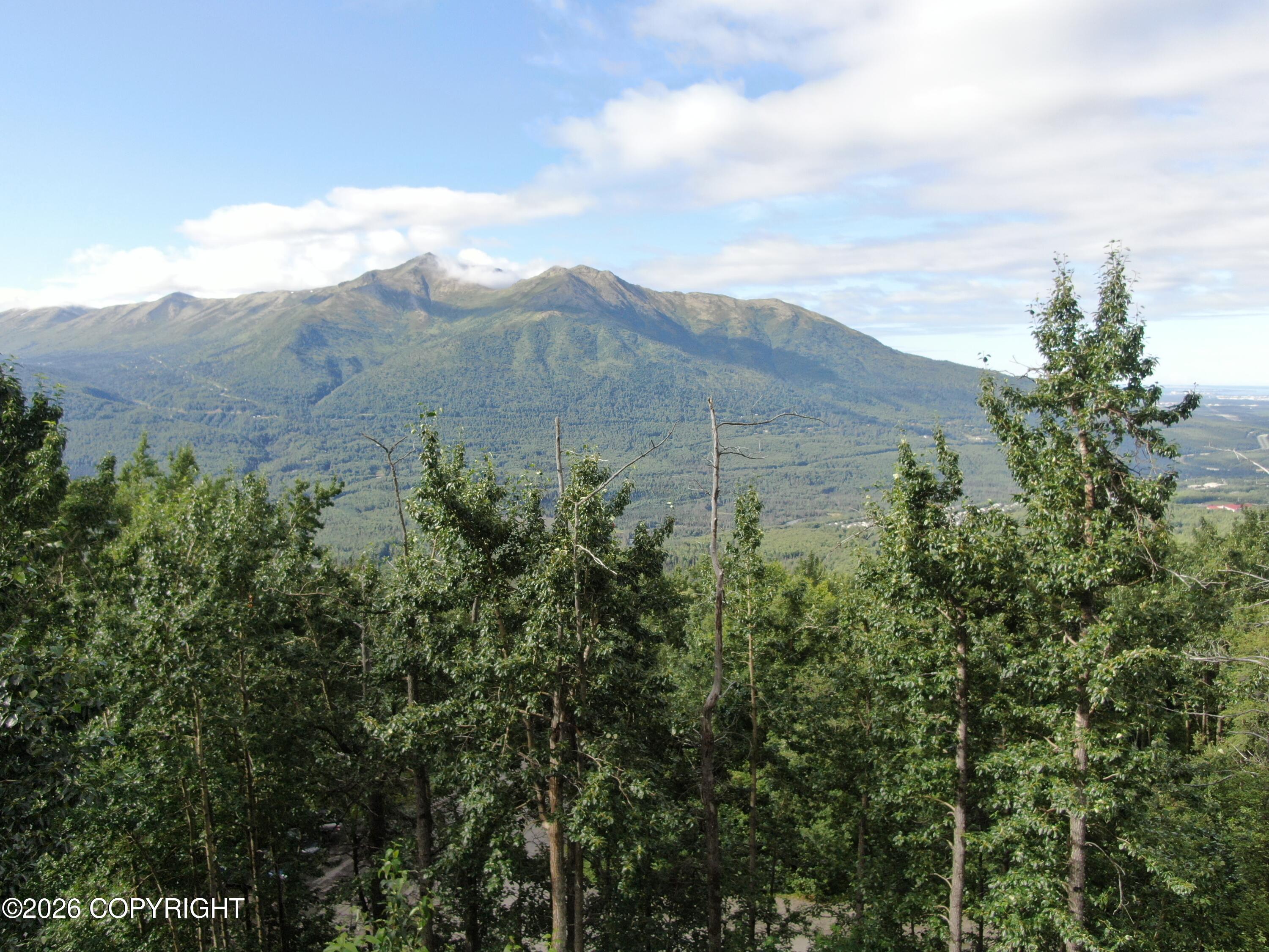 #1 Mile Hi Way, Eagle River AK 99577