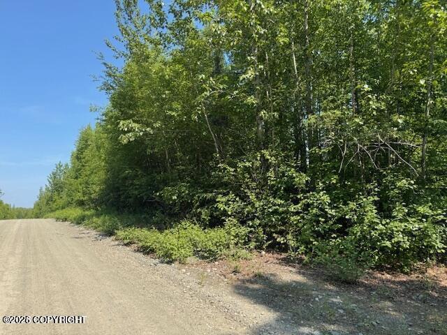 39578 S Malaspina Loop, Talkeetna AK 99676