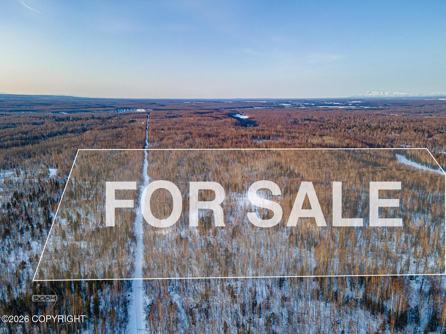 L A5 E Ridge Lane, Willow AK 99688