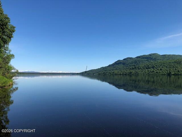 NO ROAD Shell Lake Lot 59D, Skwentna AK 99667