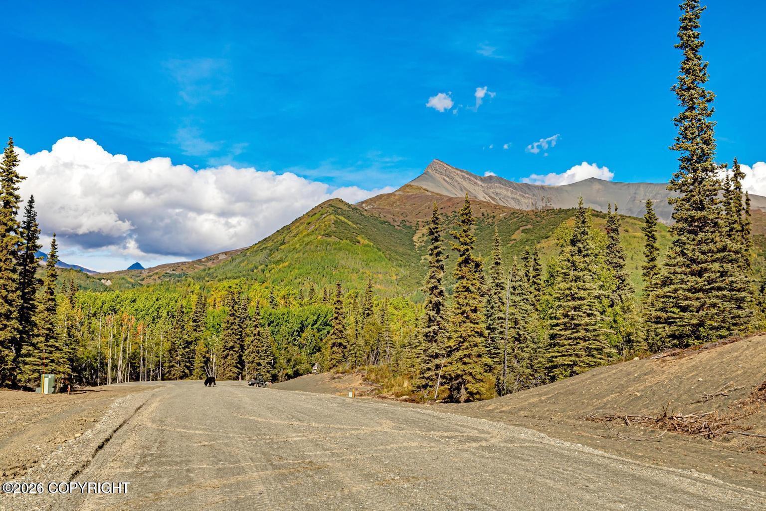 L7 S Red Rooster Road, Chickaloon AK 99674