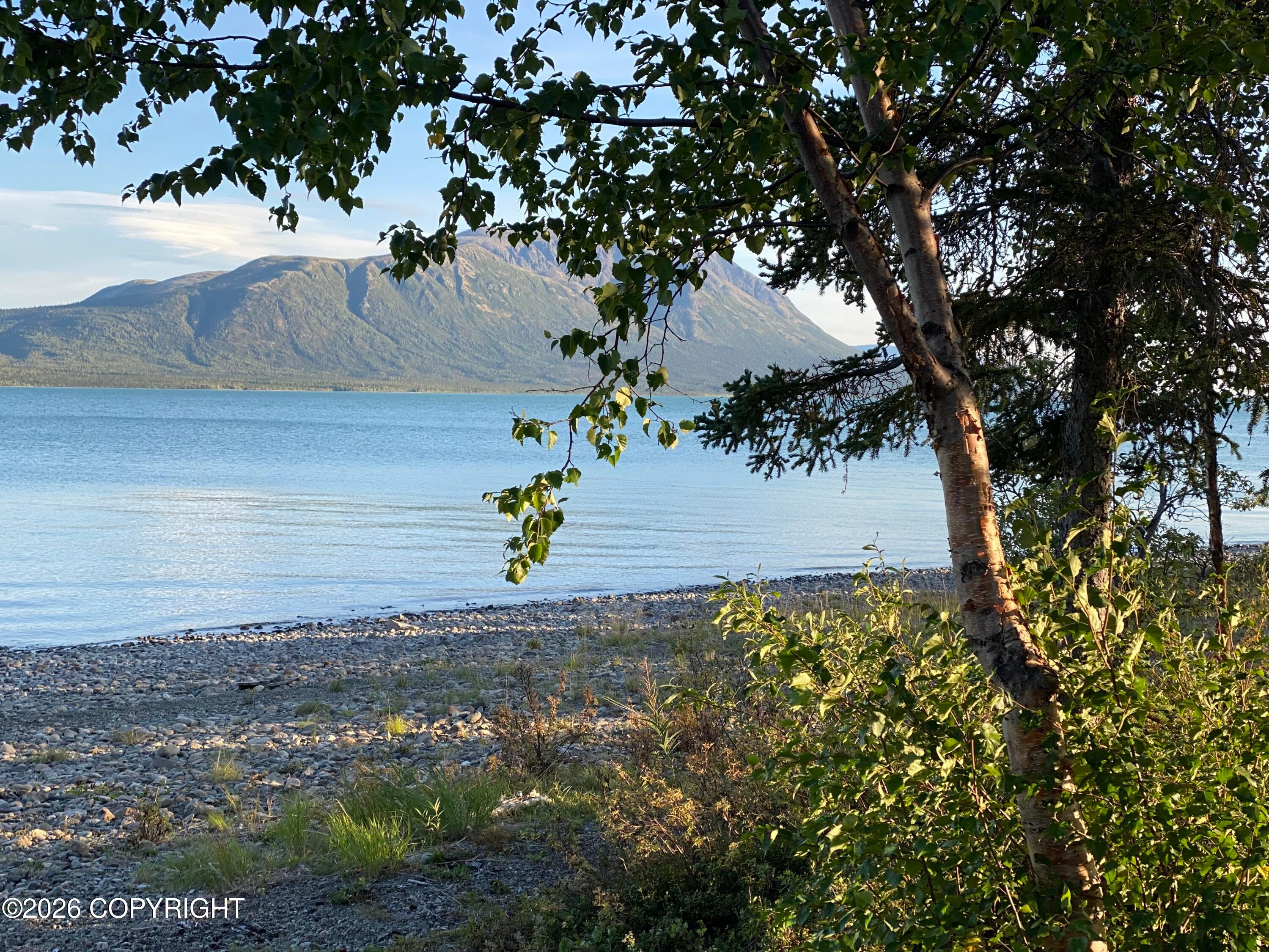 L13 B6 Keyes Point, Port Alsworth AK 99653