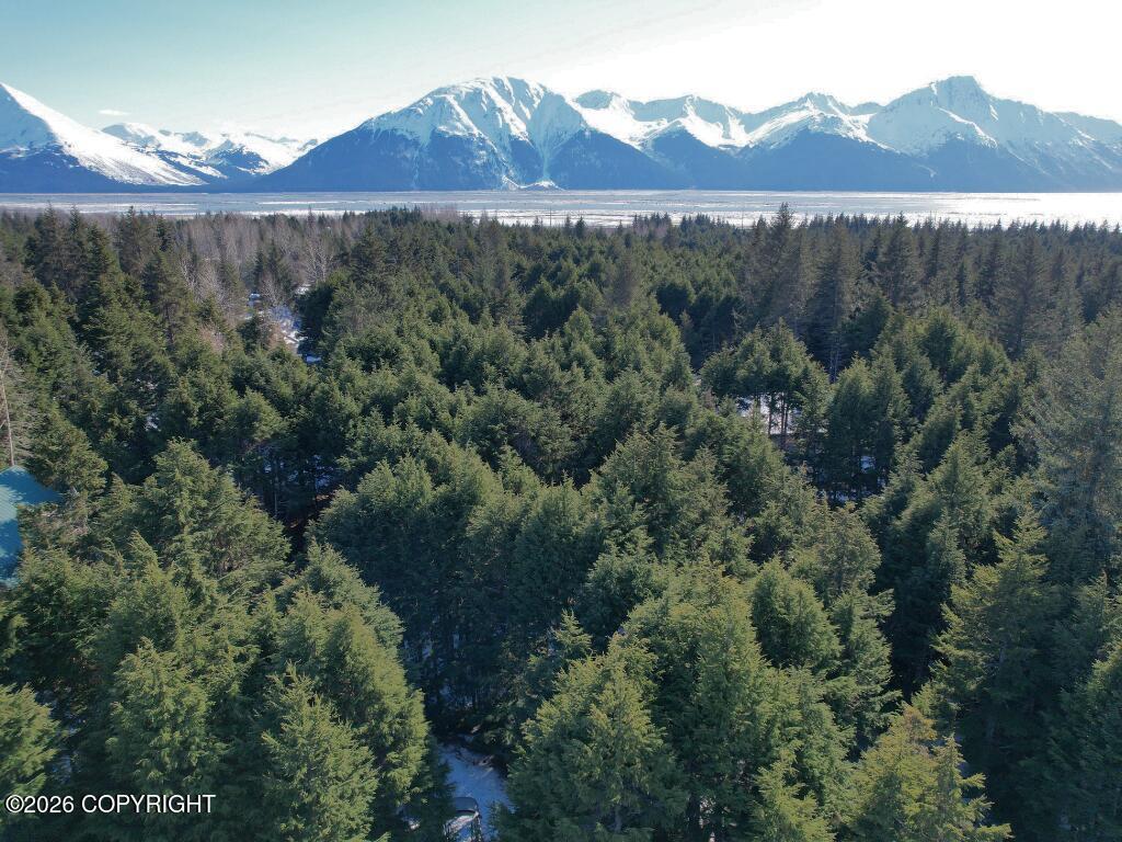 169 Agostino Mine Road, Girdwood AK 99587