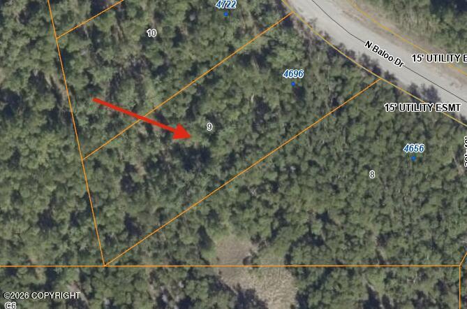 4696 N Baloo Drive, Wasilla AK 99654