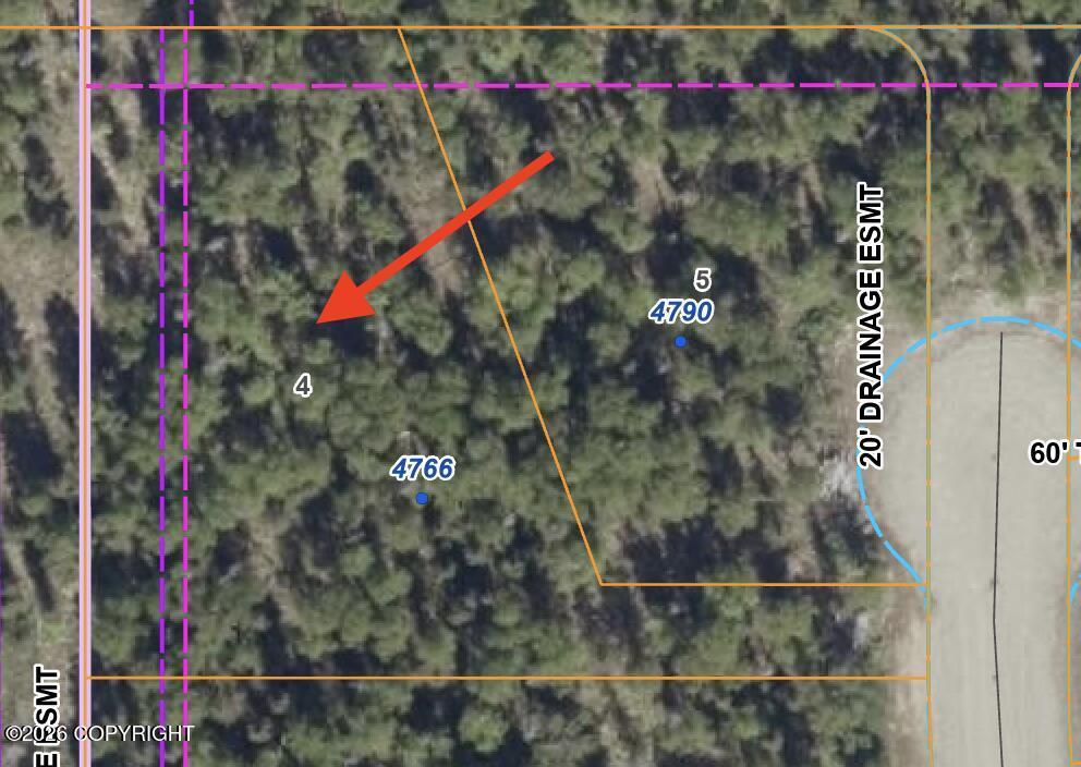 4766 N Shanny Lane, Wasilla AK 99654