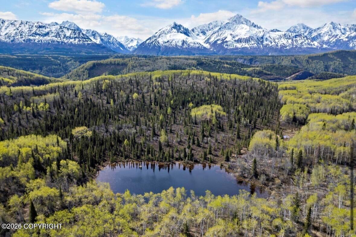 B005 S Packsaddle Road, Chickaloon AK 99674