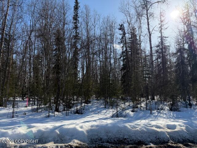14584 N Sundown Drive, Willow AK 99688