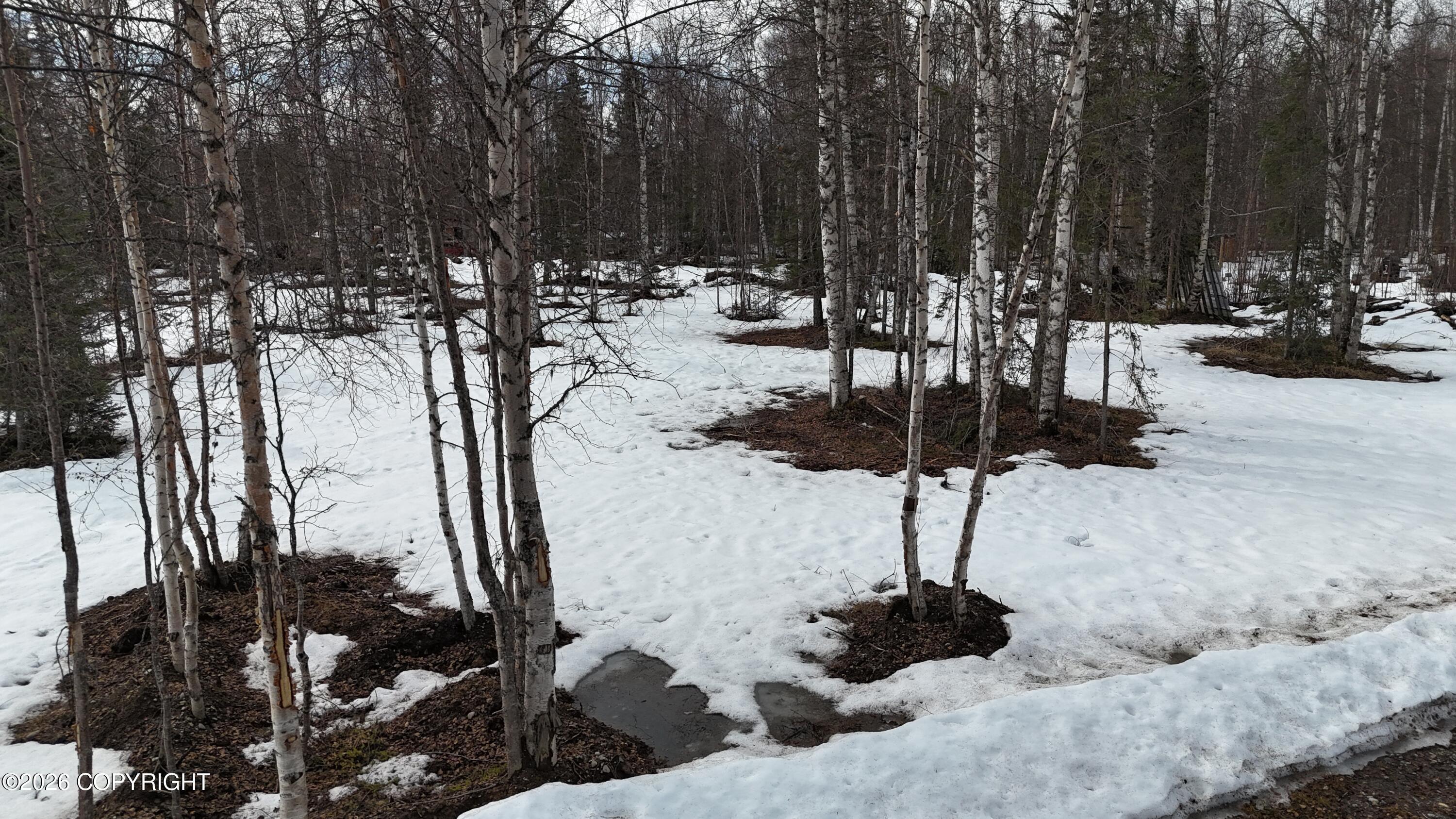 15850 E Willow Circle, Talkeetna AK 99676