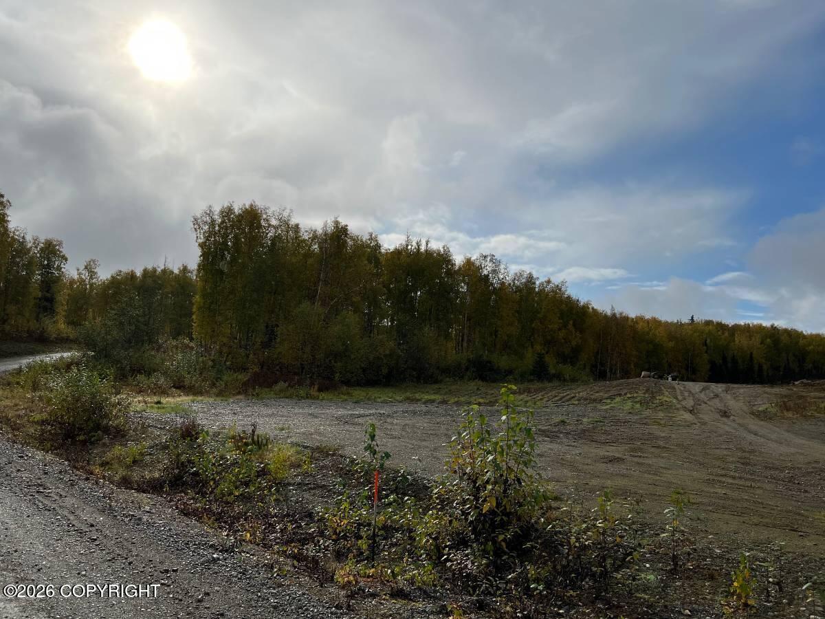 10832 N Pilot Drive, Willow AK 99688
