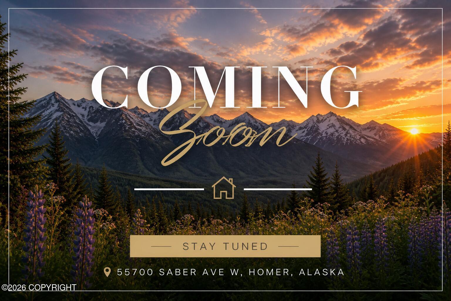 55700 W Saber Avenue, Homer AK 99603
