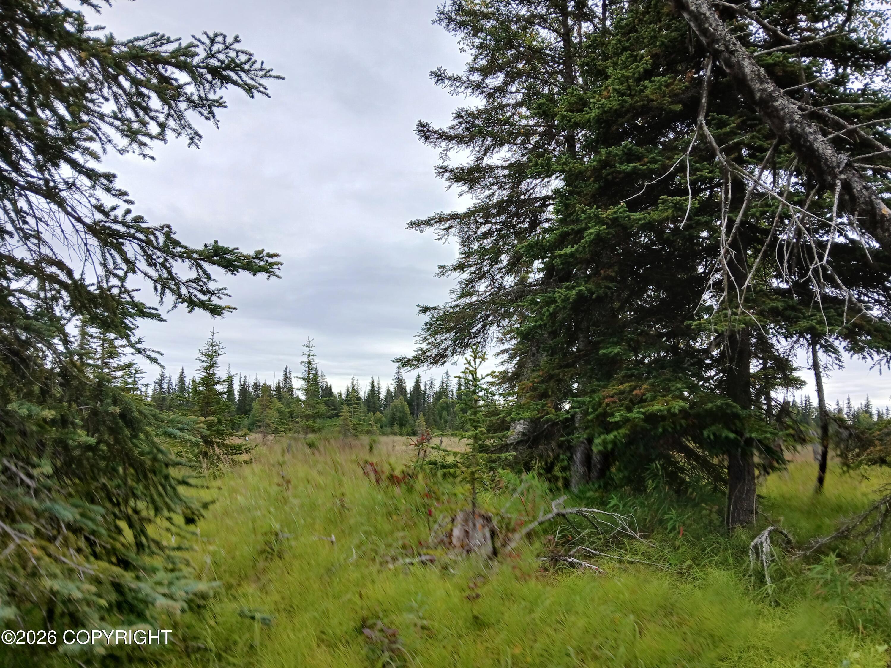 L17 Marik Street, Anchor Point AK 99556