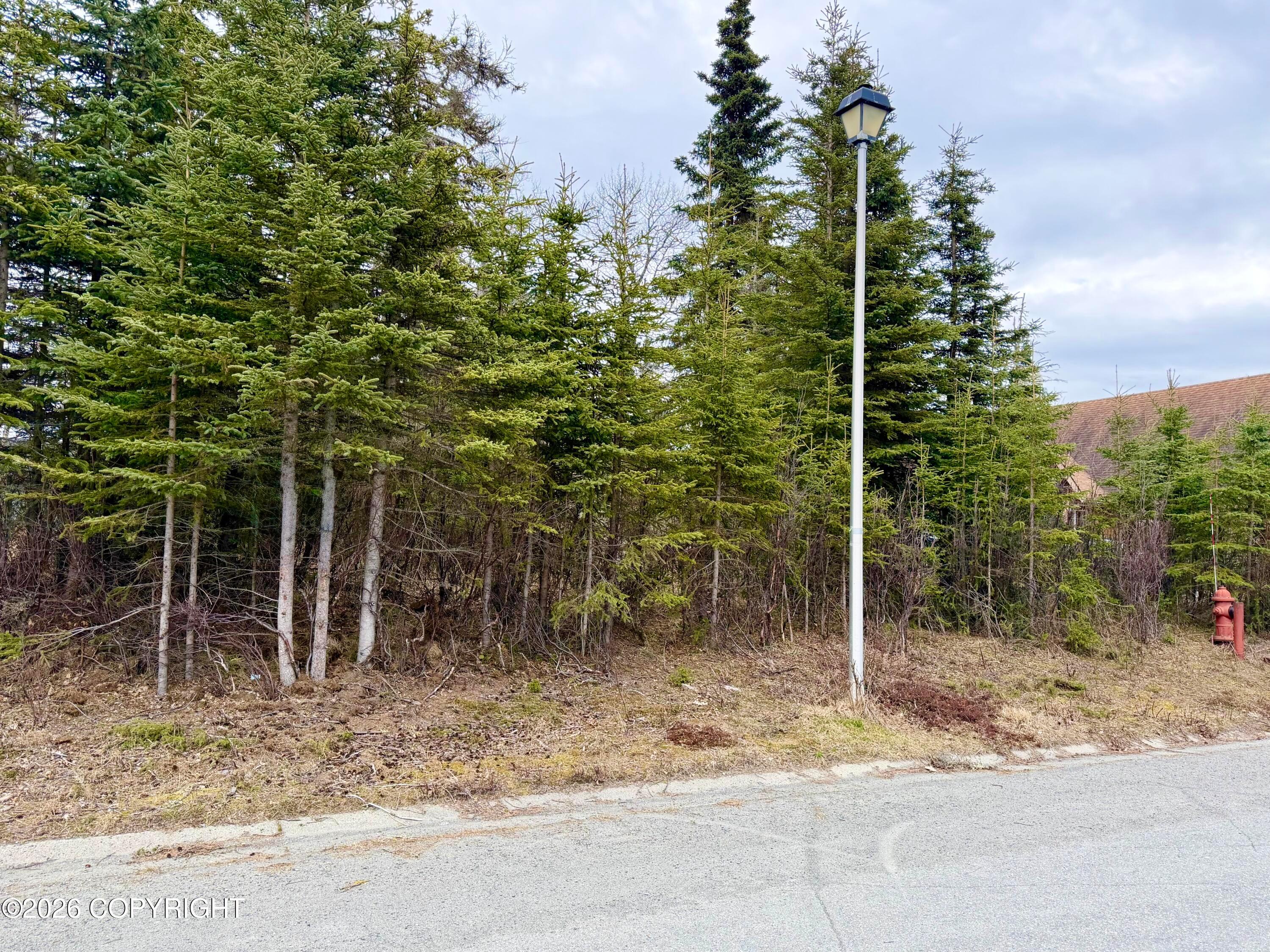 1205 Equinox Way, Kenai AK 99611