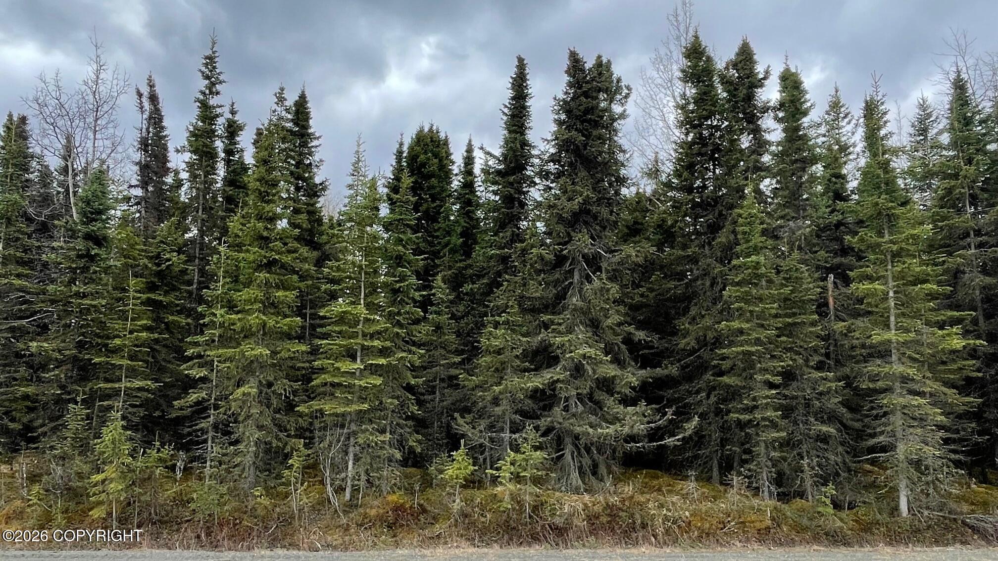 675 E Redoubt Avenue, Soldotna AK 99669