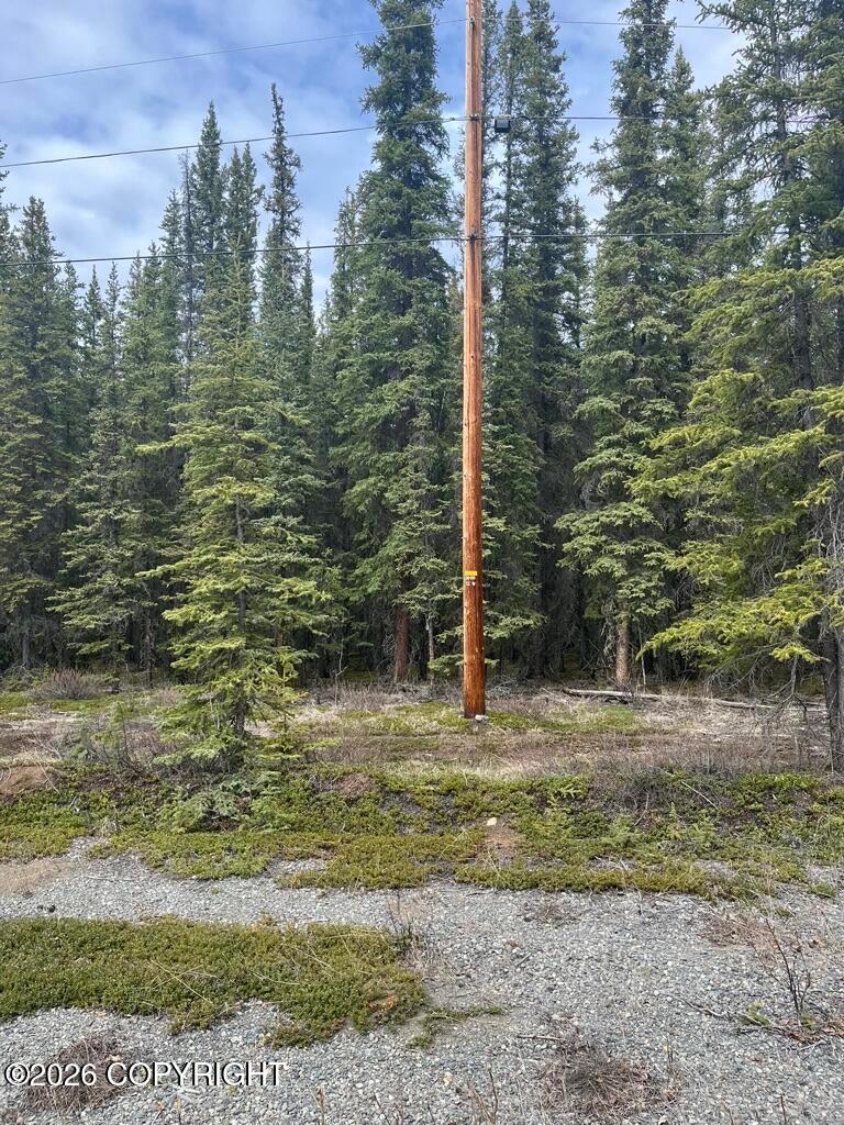 0 Tract L Block 5, Tok AK 99780