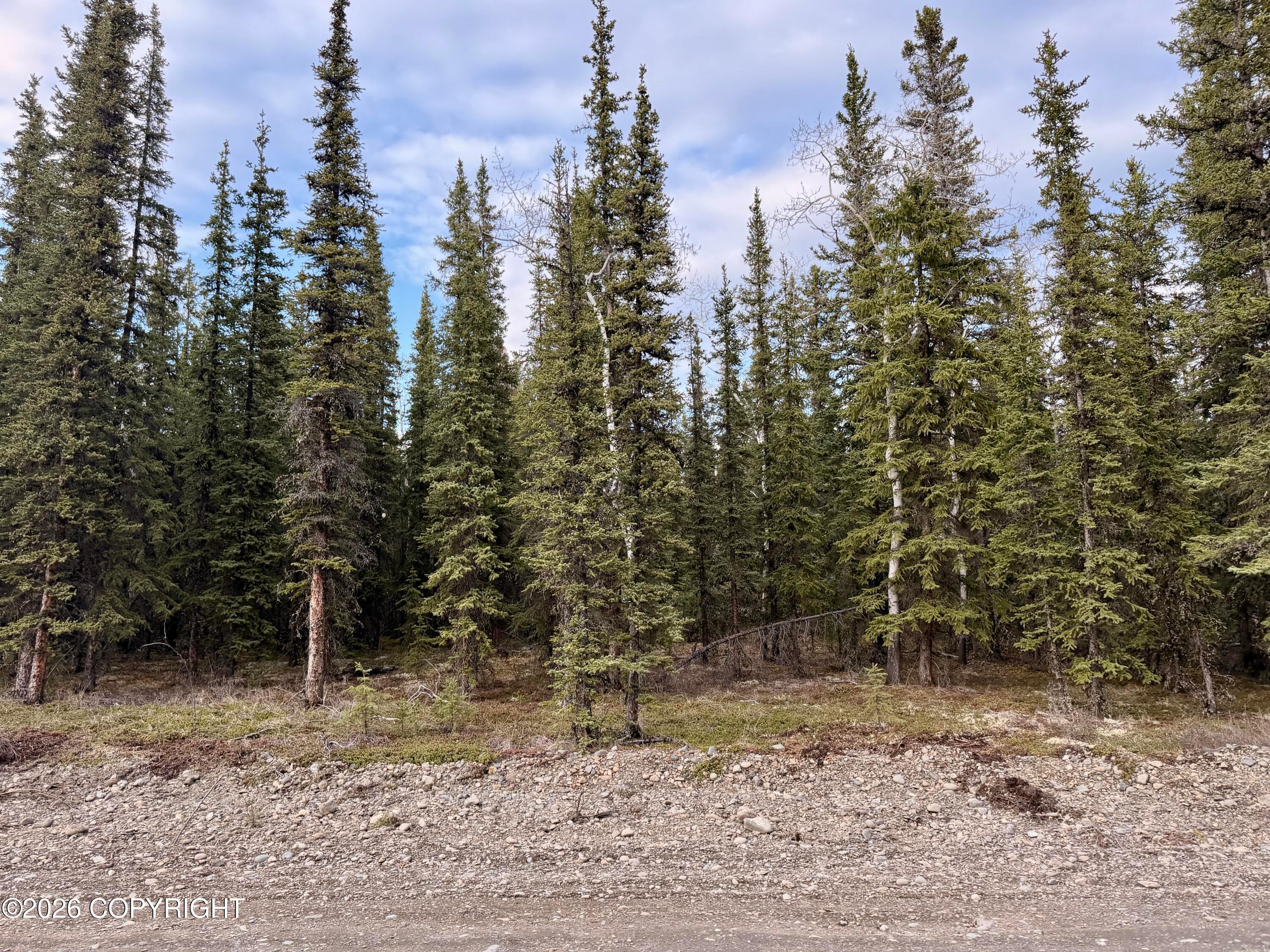 L14B9 Pringle Road, Tok AK 99780