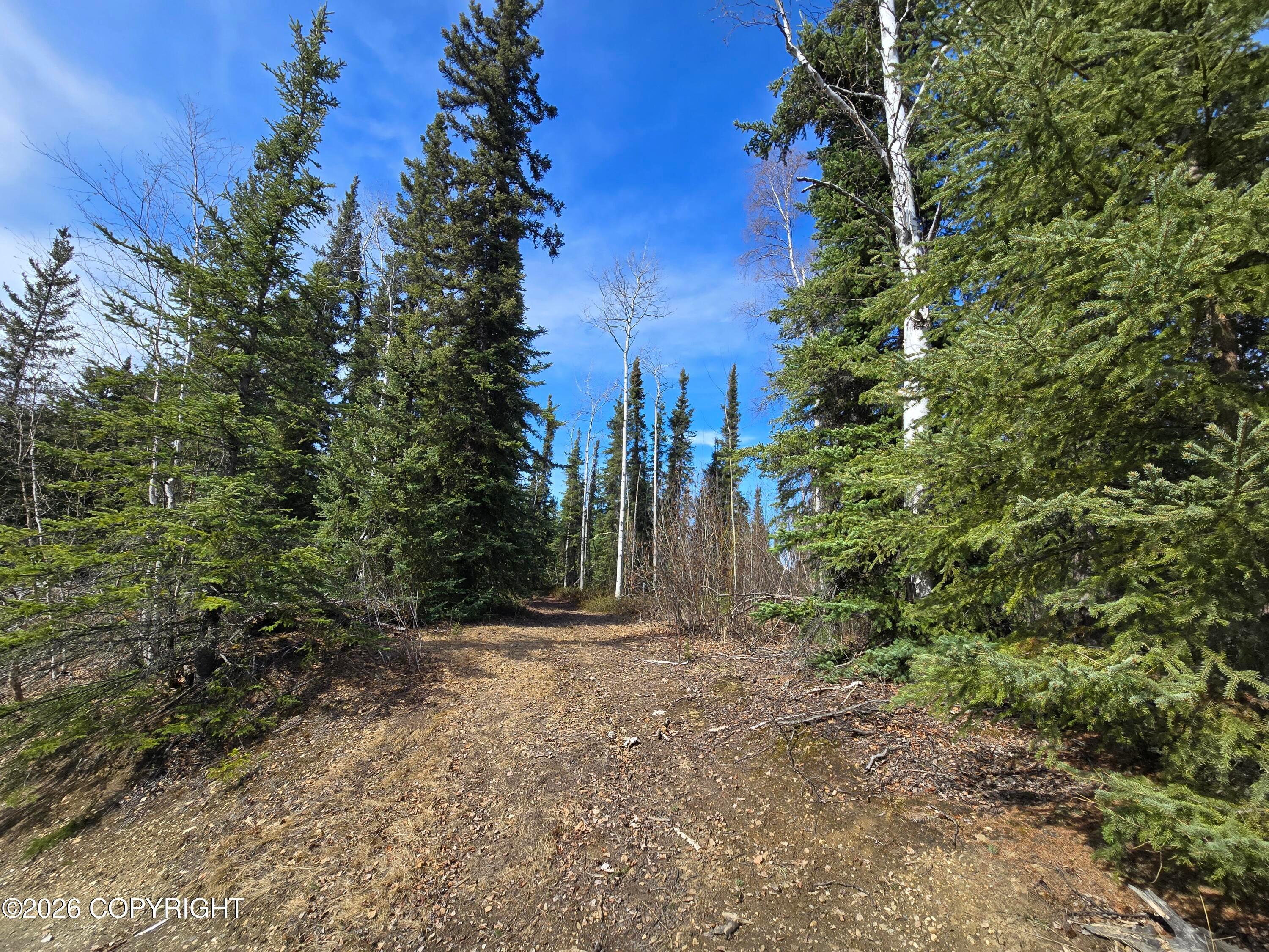 NHN Richardson Highway, Salcha AK 99714