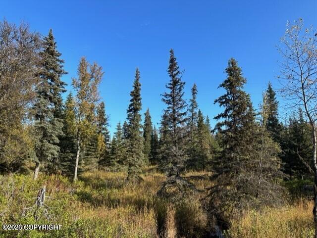 68302 Sunshine Drive, Ninilchik AK 99639