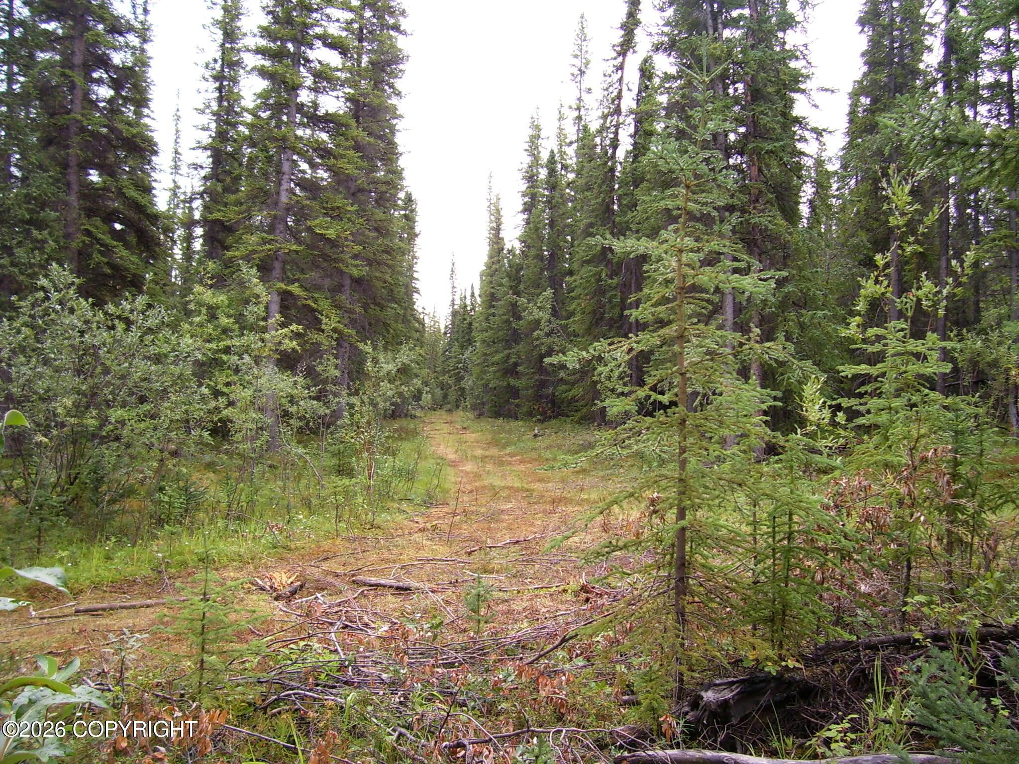 L20 B2 Becky Lane, Copper Center AK 99573