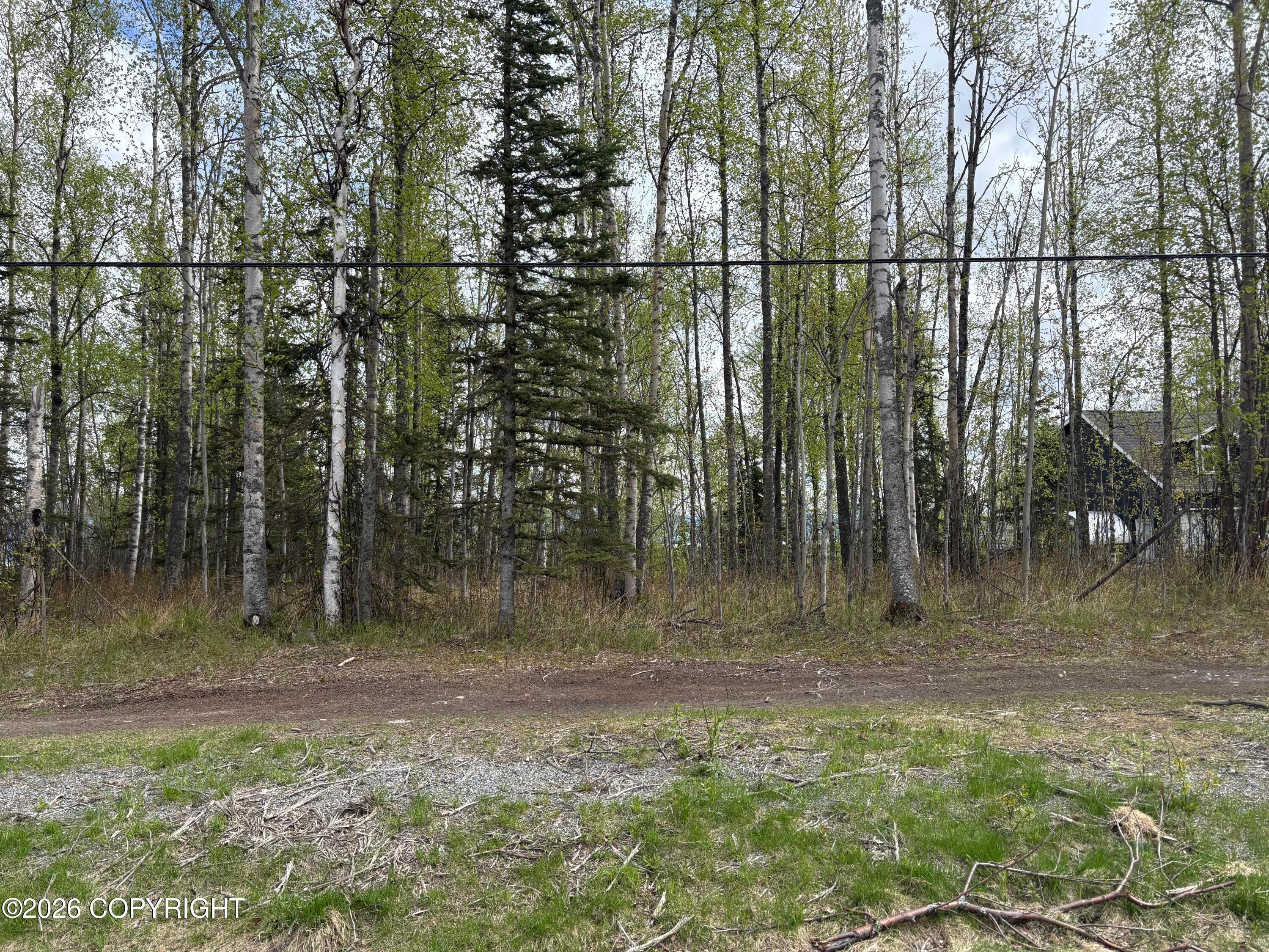 5201 S Outrigger Drive, Wasilla AK 99623