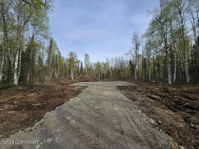 19806 E Caswell Circle, Willow AK 99688