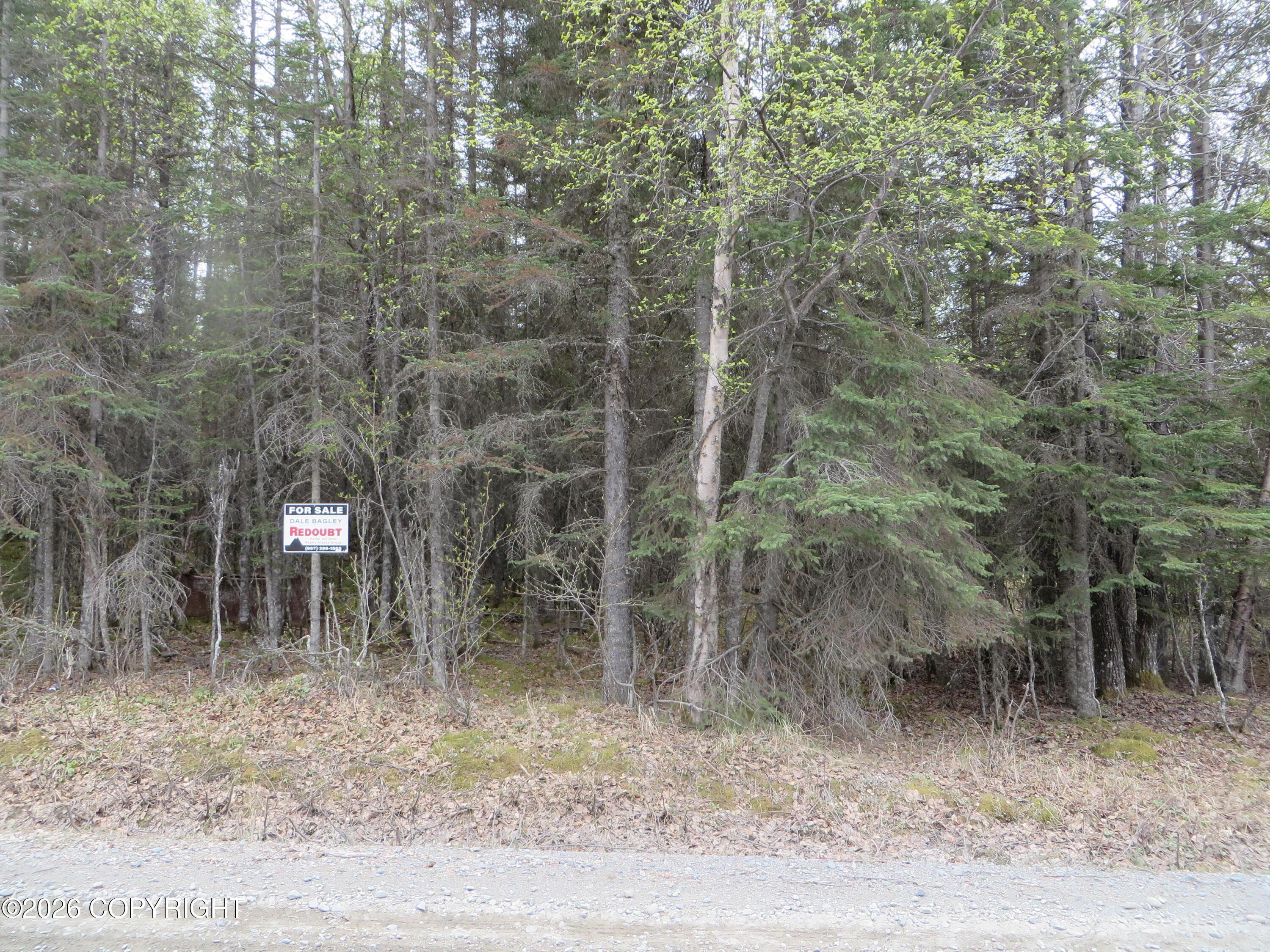L1 Tolum Road, Kasilof AK 99610