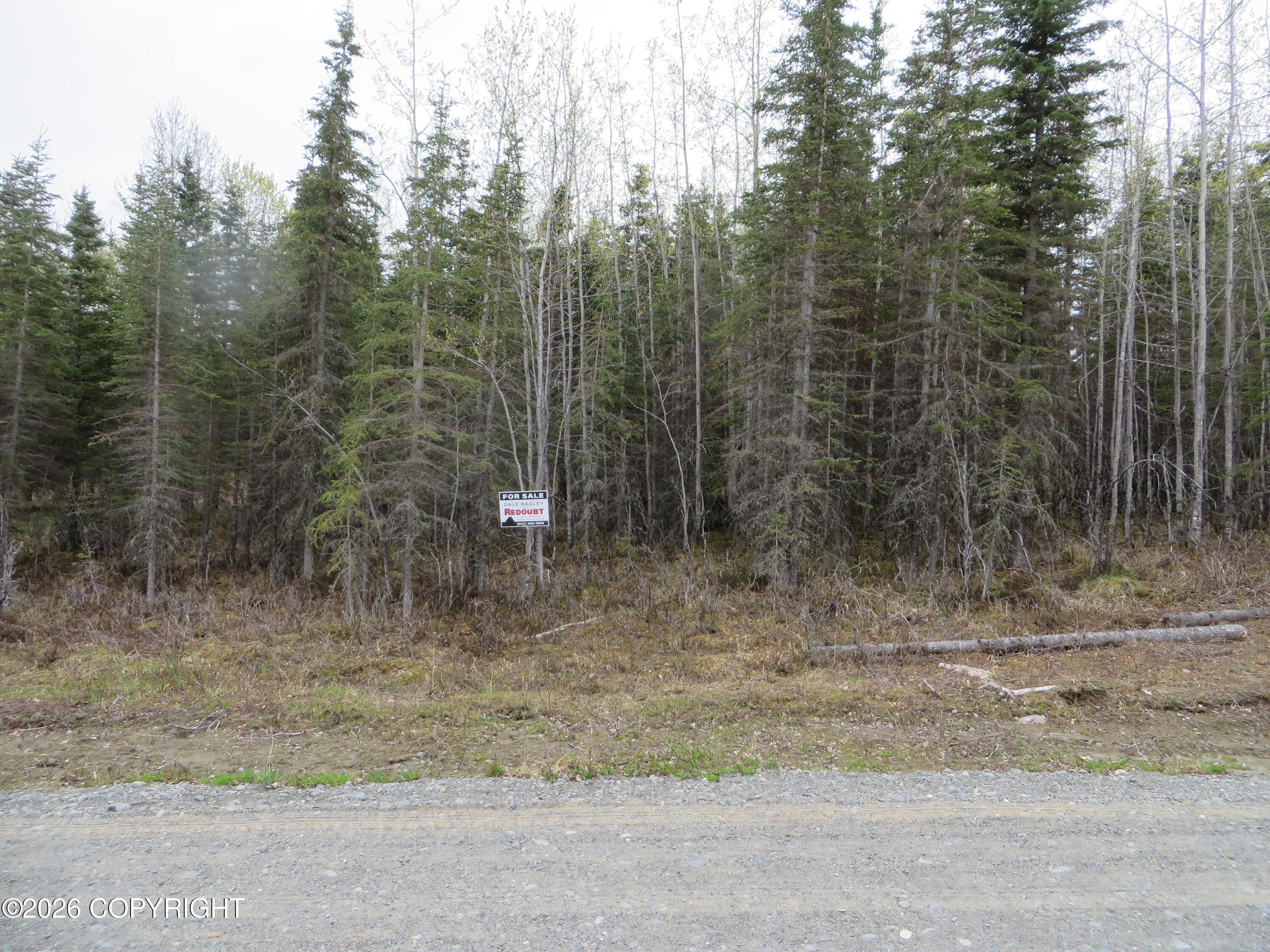 L7 Tolum Road, Kasilof AK 99610
