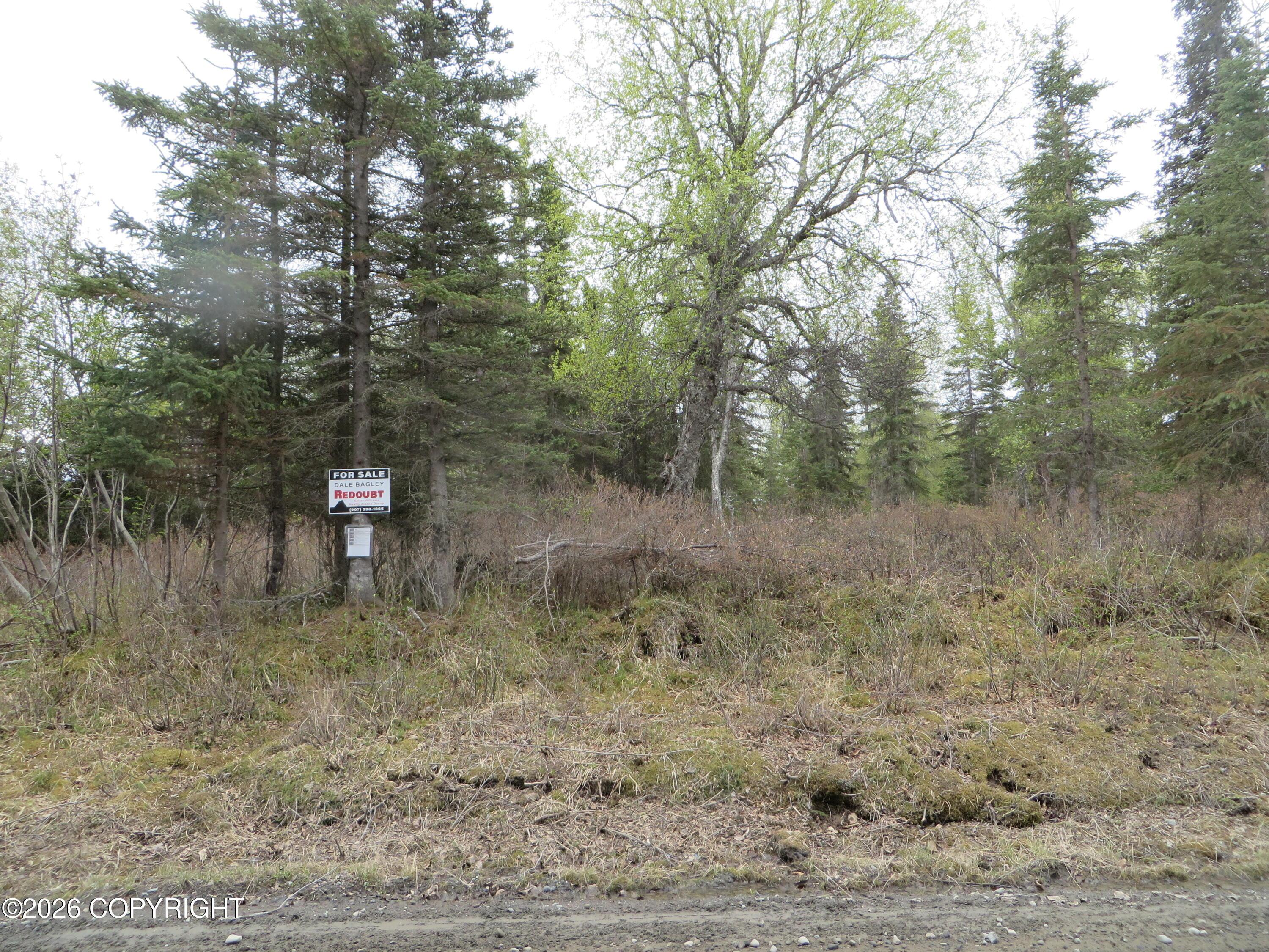 L2 Tolum Road, Kasilof AK 99610