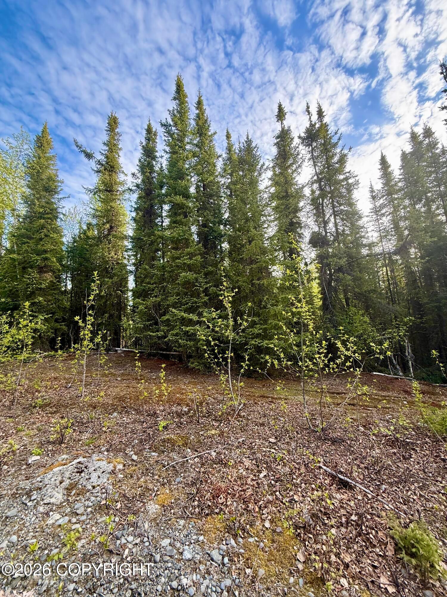 32664 Strauss Court, Soldotna AK 99669