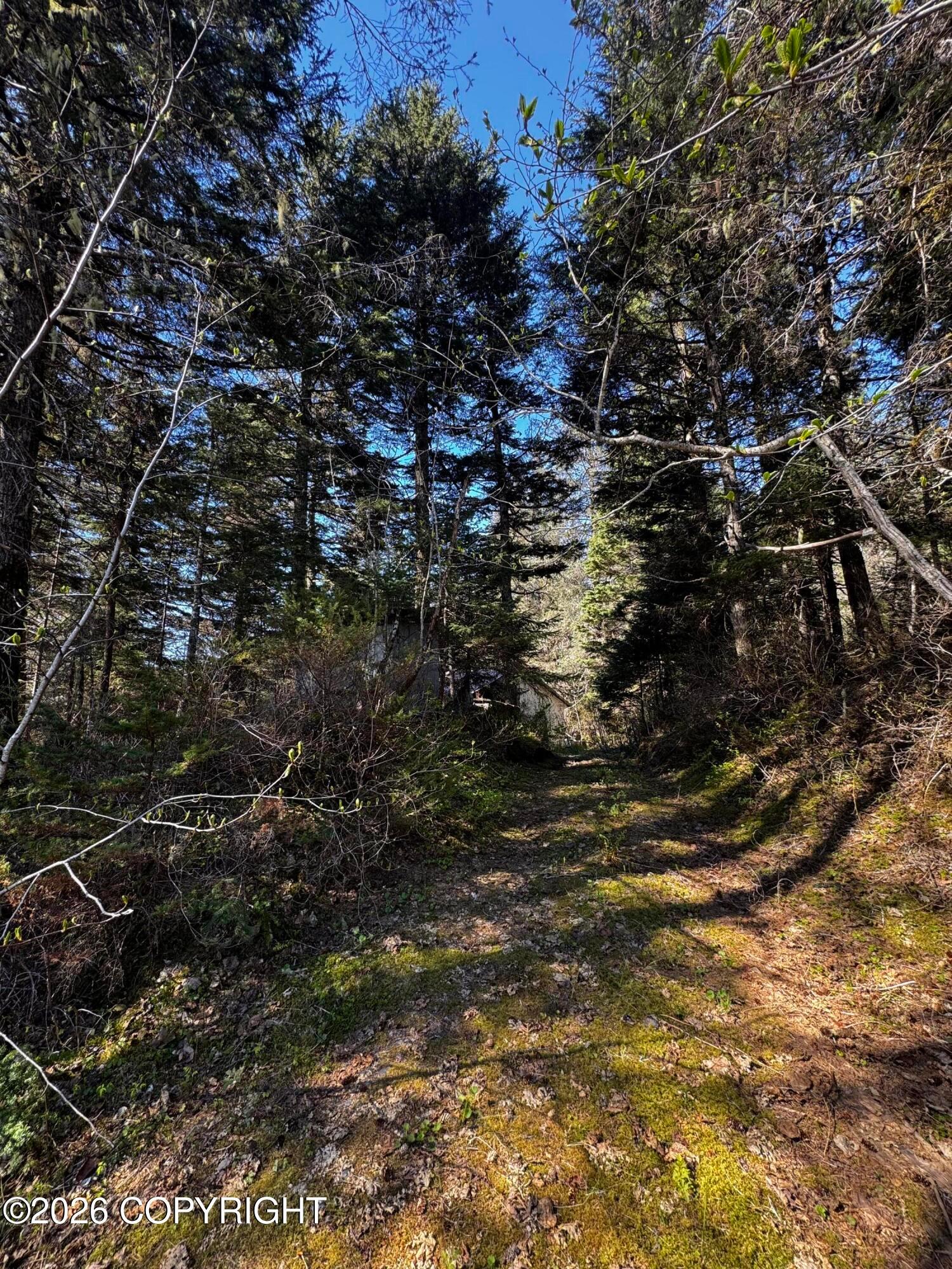 15485 Grouse Creek Road, Seward AK 99664
