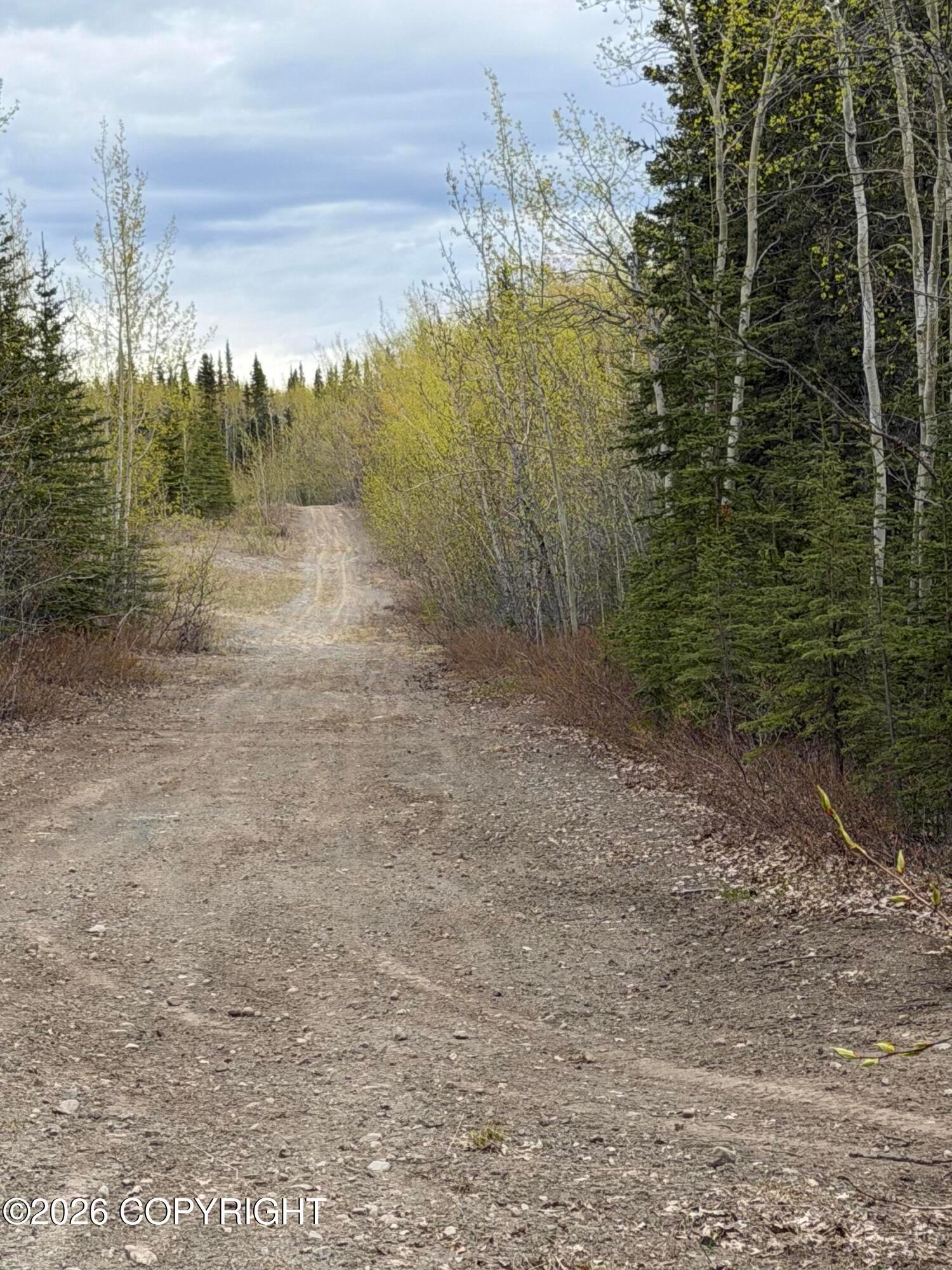 Mile 89 Richardson Highway, Copper Center AK 99573