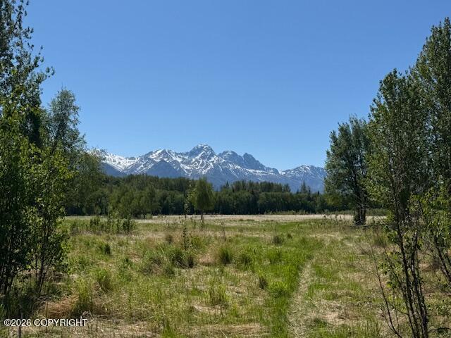15270 E Peacefull Lane, Palmer AK 99645