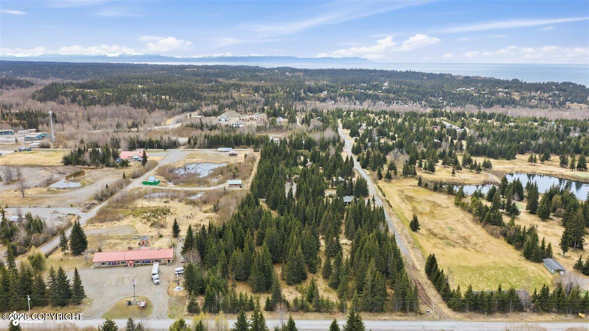72595 Milo Fritz Avenue, Anchor Point AK 99556