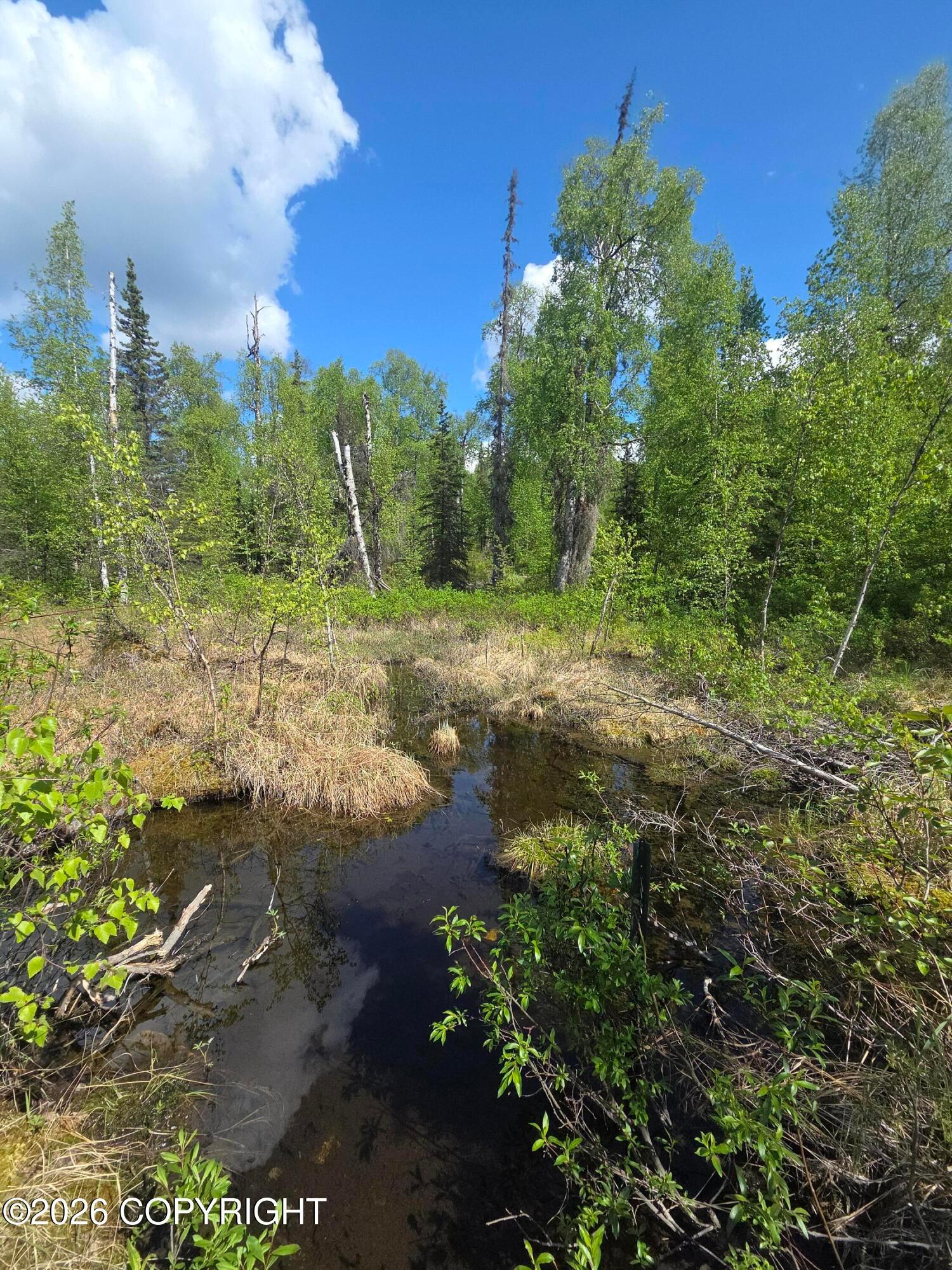36055 S Malaspina Loop, Talkeetna AK 99676